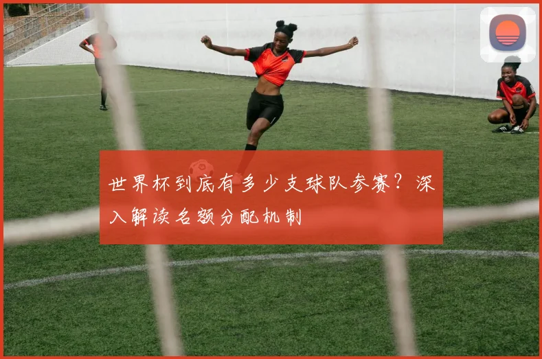 世界杯到底有多少支球队参赛？深入解读名额分配机制