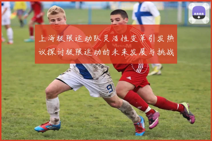 上海极限运动队灵活性变革引发热议探讨极限运动的未来发展与挑战