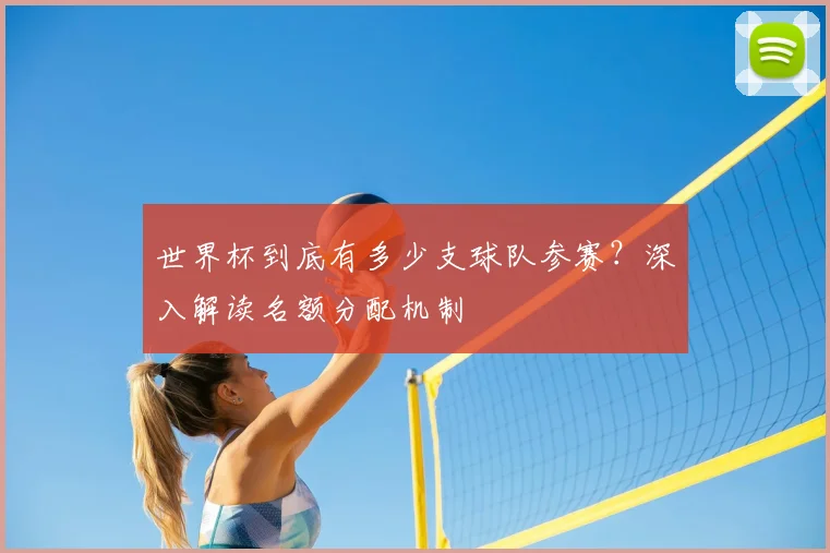 世界杯到底有多少支球队参赛？深入解读名额分配机制