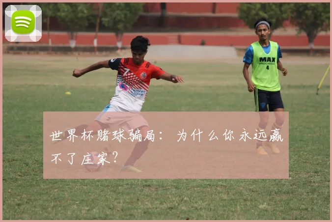 世界杯赌球骗局：为什么你永远赢不了庄家？