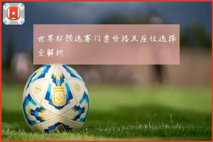 世界杯预选赛门票价格及座位选择全解析