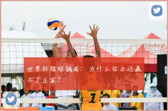 世界杯赌球骗局：为什么你永远赢不了庄家？