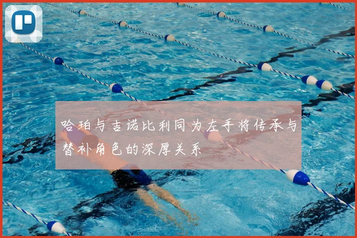 哈珀与吉诺比利同为左手将传承与替补角色的深厚关系