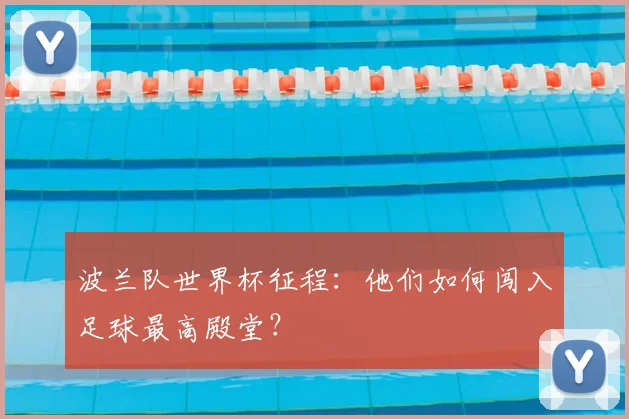 波兰队世界杯征程：他们如何闯入足球最高殿堂？