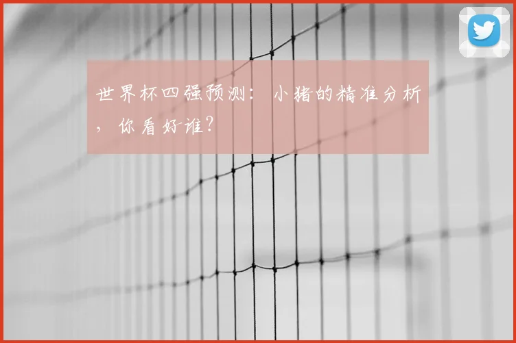 世界杯四强预测：小猪的精准分析，你看好谁？