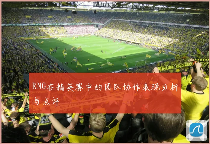 RNG在精英赛中的团队协作表现分析与点评