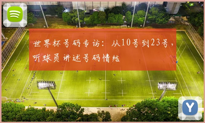 世界杯号码专访:从10号到23号,听球员讲述号码情结
