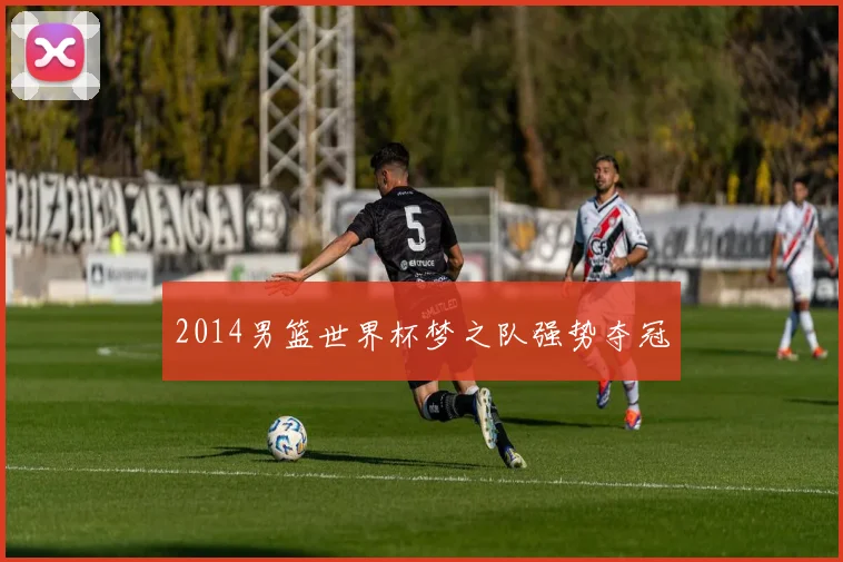 2014男篮世界杯梦之队强势夺冠